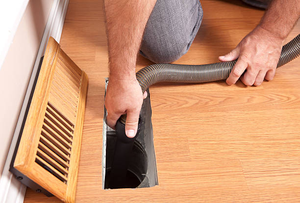 Best Air Duct Mold Removal  in Guerneville, CA